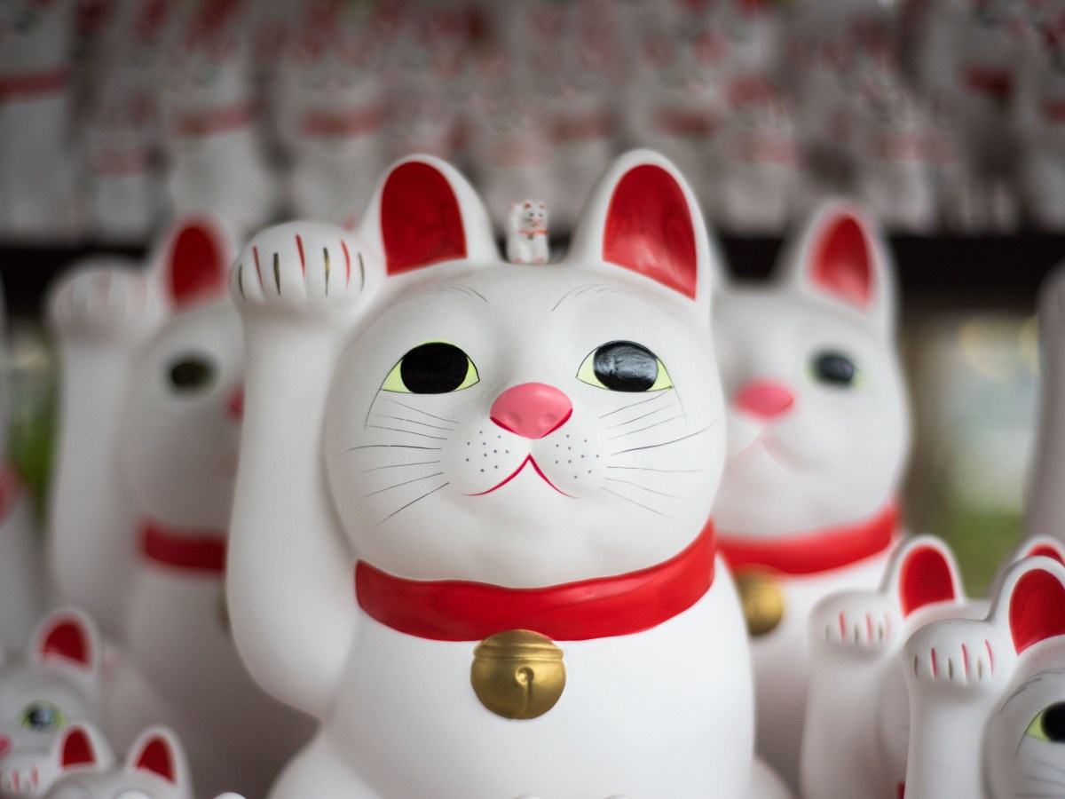 日本のWordPressコミュニティについて